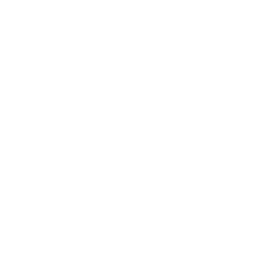 The Culture Network LCR